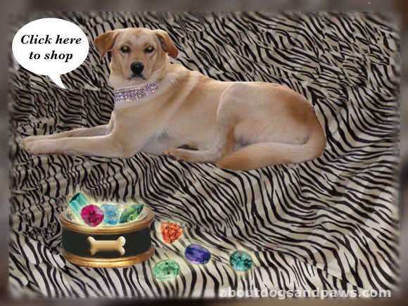 bling leashes and collars